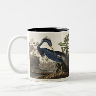 Caneca De Café Em Dois Tons Arte de Pássaro da Garça da Louisiana Vintage Audu