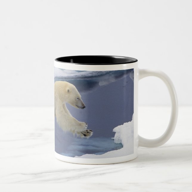 Caneca De Café Em Dois Tons Ártico, Svalbard, Urso Polar estendendo (Direita)
