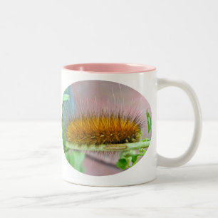 Caneca De Café Em Dois Tons Artigos de madeira virgem de lagarta de Urso Amare