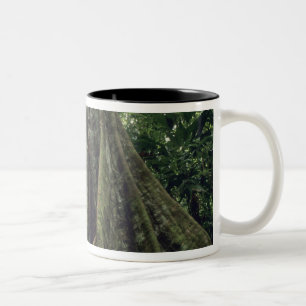 Caneca De Café Em Dois Tons Árvore sob pressão na floresta tropical, Corcova
