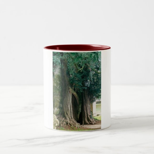 Caneca De Café Em Dois Tons Árvores Antigas (Centro)