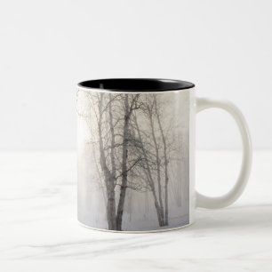 Caneca De Café Em Dois Tons Árvores brancas em um dia nevado