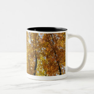 Caneca De Café Em Dois Tons Árvores coloridas