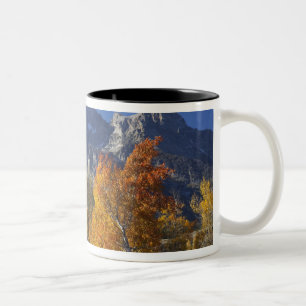 Caneca De Café Em Dois Tons Árvores de Aspen com a cordilheira Teton