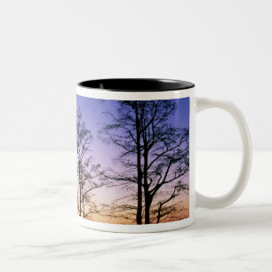 Caneca De Café Em Dois Tons Árvores de cipreste careca em silhueta ao pôr do s