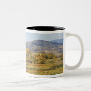 Caneca De Café Em Dois Tons Árvores de Outono, Khancoban, Montanhas Nevadas, N