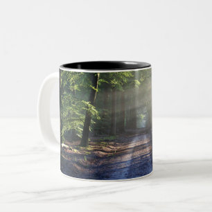 Caneca De Café Em Dois Tons Árvores De Verão Que Cobrem A Estrada Da Camisa
