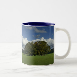 Caneca De Café Em Dois Tons Árvores em Grass Field Mug