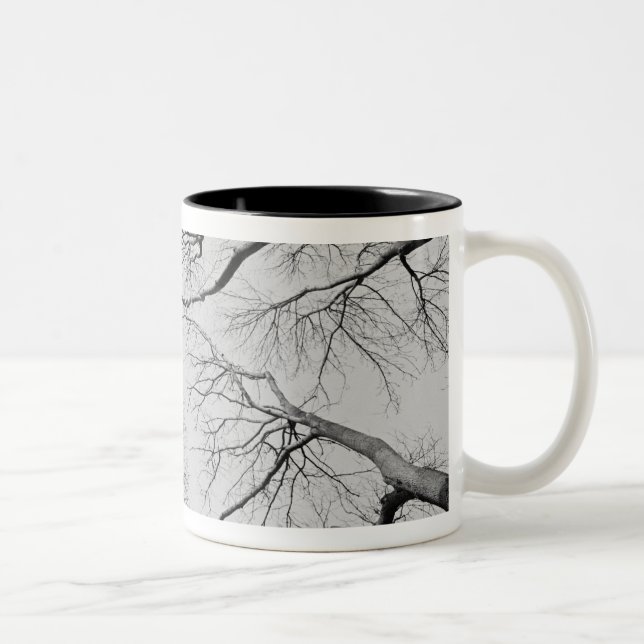 Caneca De Café Em Dois Tons Árvores Leafless na madeira de Thiepval (Direita)
