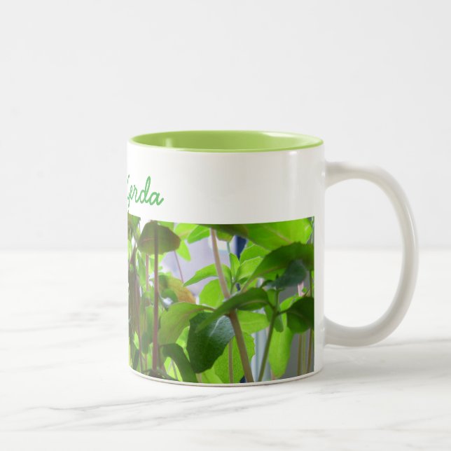 Caneca De Café Em Dois Tons As plantas mantêm-se crescer sementes com nome (Direita)