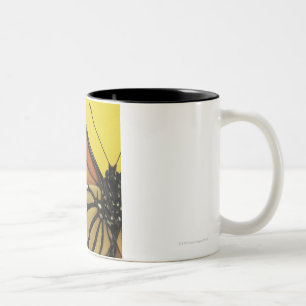 Caneca De Café Em Dois Tons Asa de uma borboleta