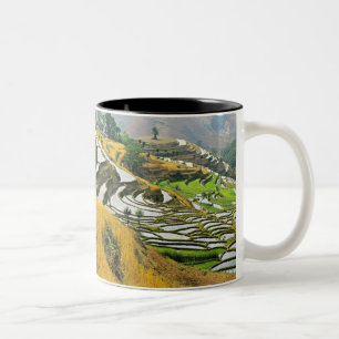 Caneca De Café Em Dois Tons Ásia, China, Yunnan, Prefeitura de Yuxi; Yuanjiang