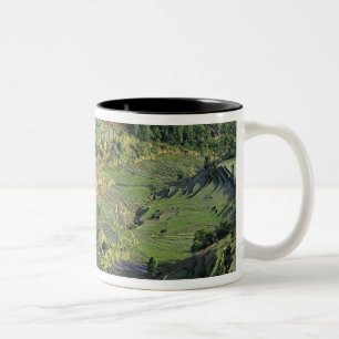 Caneca De Café Em Dois Tons Ásia, China, Yunnan, Yuanyang. Padrão de verde 2