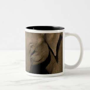 Caneca De Café Em Dois Tons Ásia, Índia, Parque Nacional Nargahole. Indiano