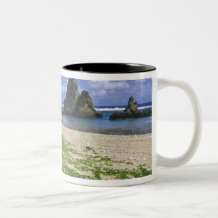 Caneca De Café Em Dois Tons Ásia, Japão, Okinawa, Yambaru Coastline, Mar