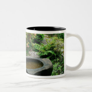 Caneca De Café Em Dois Tons Ásia, Japão, Quioto. Jardim Zen
