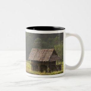 Caneca De Café Em Dois Tons Ásia, Tailândia, Mae Hong Son, cabanas de arroz 