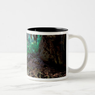 Caneca De Café Em Dois Tons Ásia, Tailândia, Phangnga Bay NP