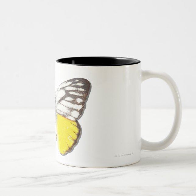 Caneca De Café Em Dois Tons Aspasia de Cepora (Direita)