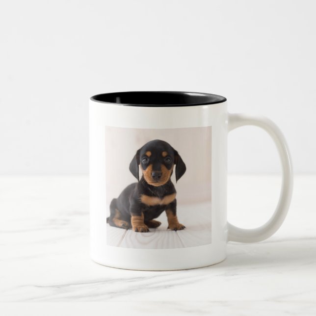 Caneca De Café Em Dois Tons Assento diminuto do Dachshund (Direita)