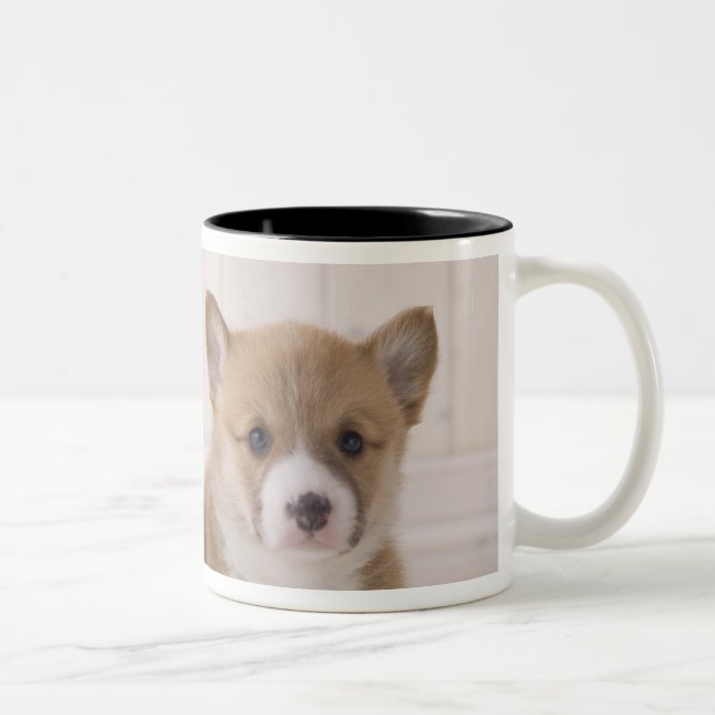 Caneca De Café Em Dois Tons Assento do Corgi dois Galês (Direita)
