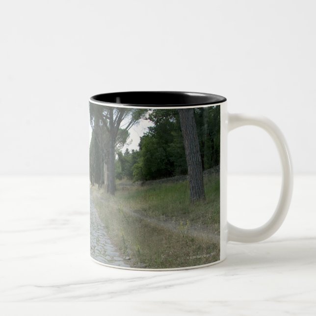Caneca De Café Em Dois Tons Através da maneira de Appia Appian, estrada romana (Direita)