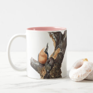 Caneca De Café Em Dois Tons Audobon Red-Breast Nuthatch