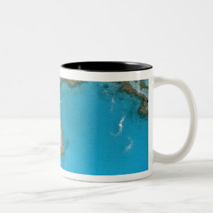 Caneca De Café Em Dois Tons Austrália, Queensland, Ilhas Whitsunday,