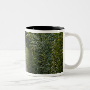 Caneca De Café Em Dois Tons Áustria, Viena. Barroco de Maria Teresa 2