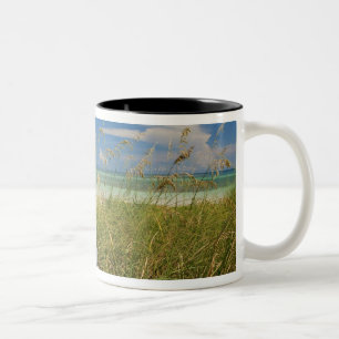 Caneca De Café Em Dois Tons Aveia do mar Uniola paniculata) crescendo pela pra