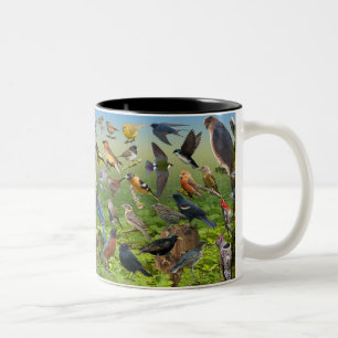 Caneca De Café Em Dois Tons Aves Do Oeste