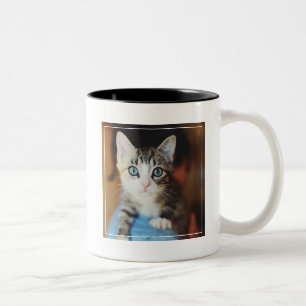 Caneca De Café Em Dois Tons Azul brilhante gatinho Eyed
