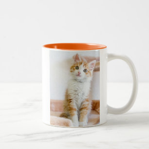 Caneca De Café Em Dois Tons Azul doce gatinho Eyed