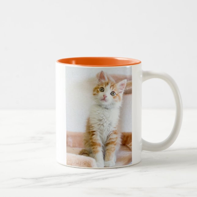 Caneca De Café Em Dois Tons Azul doce gatinho Eyed (Direita)