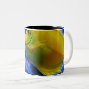Caneca De Café Em Dois Tons Azul E Amarelo - Dois Bons Pescados