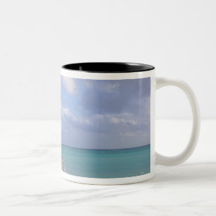 Caneca De Café Em Dois Tons BAHAMAS, Ilha de Grand Bahama, Lado Leste: