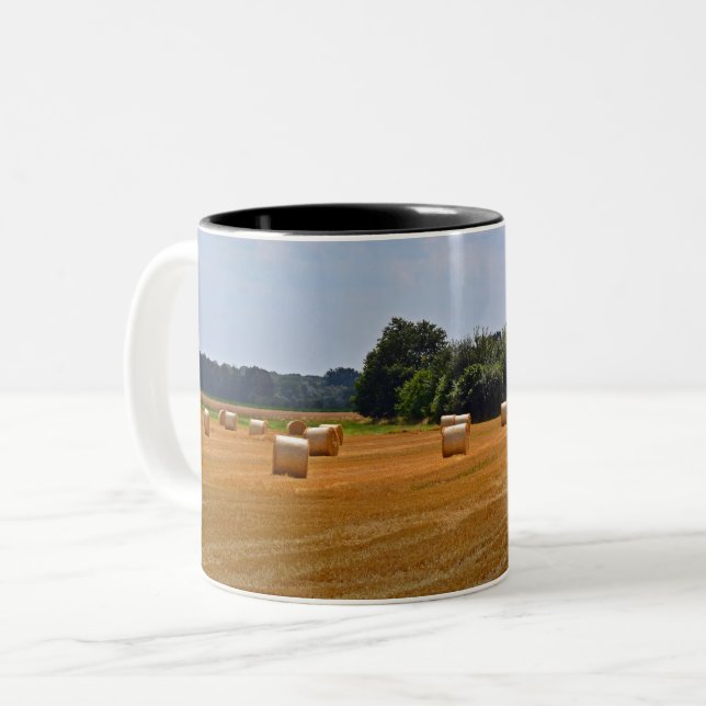 Caneca De Café Em Dois Tons Balança Cênico Rural em Campo (Frente Esquerda)
