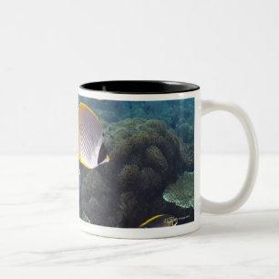 Caneca De Café Em Dois Tons Bali, Indonésia
