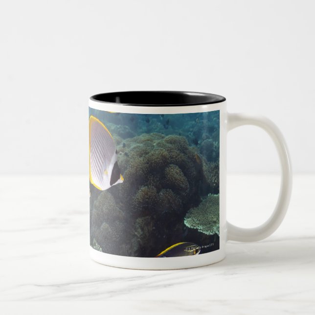 Caneca De Café Em Dois Tons Bali, Indonésia (Direita)