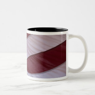 Caneca De Café Em Dois Tons bandeira dos EUA, Carolina do Norte, EUA