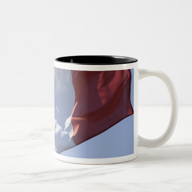 Caneca De Café Em Dois Tons Bandeira Irlandesa (Direita)