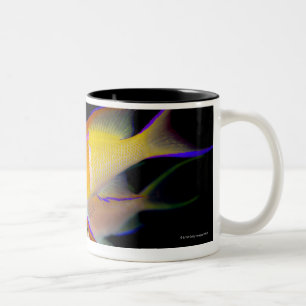 Caneca De Café Em Dois Tons Bar branco Anthias