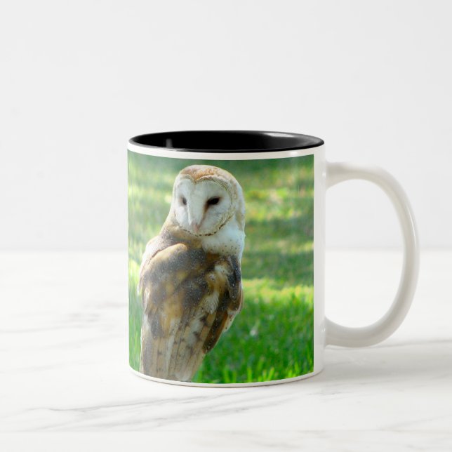 Caneca De Café Em Dois Tons Barn Owl Nature (Direita)