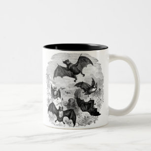 Caneca De Café Em Dois Tons Bat Sketch