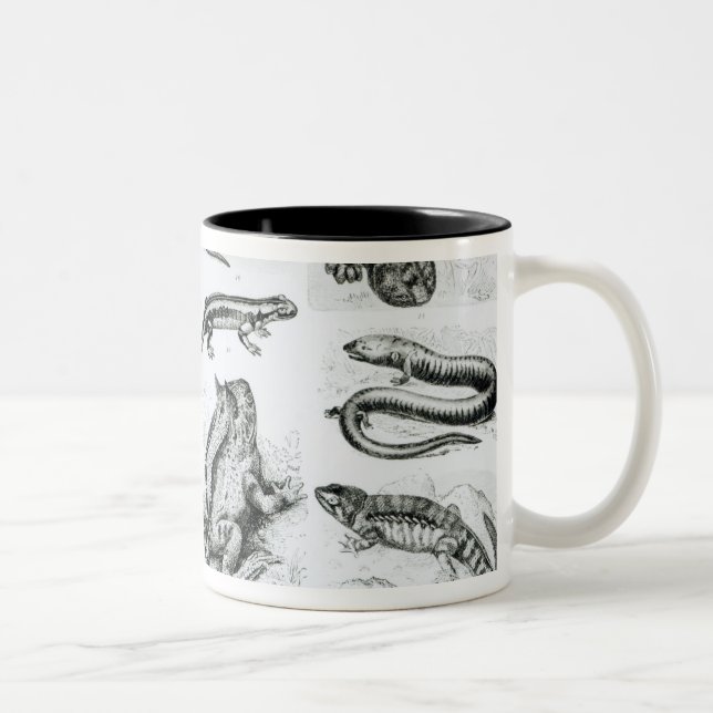 Caneca De Café Em Dois Tons Batráquios e outros anfíbios (Direita)