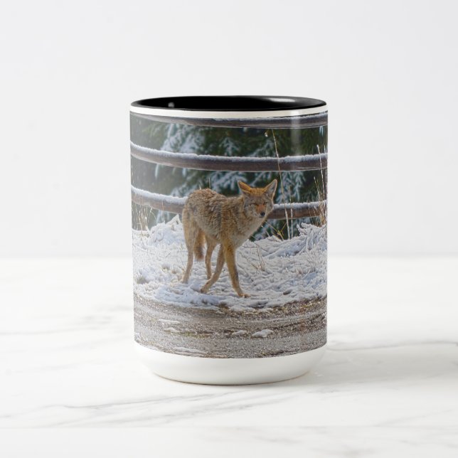 Caneca De Café Em Dois Tons BC Coyote Wildlife Nature Coffee Mug (Centro)