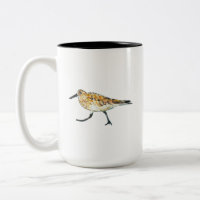 Beach Shorebird Sandpiper Bird Art