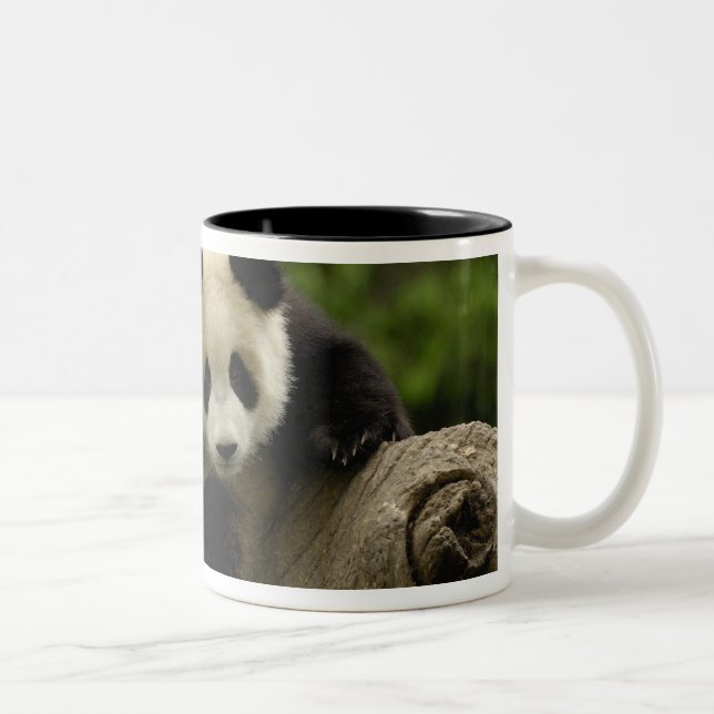 Caneca De Café Em Dois Tons Bebê de panda gigante (Direita)