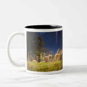 Caneca De Café Em Dois Tons Bebê Lhamas num Campo