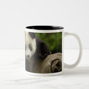 Caneca De Café Em Dois Tons Bebê panda gigante